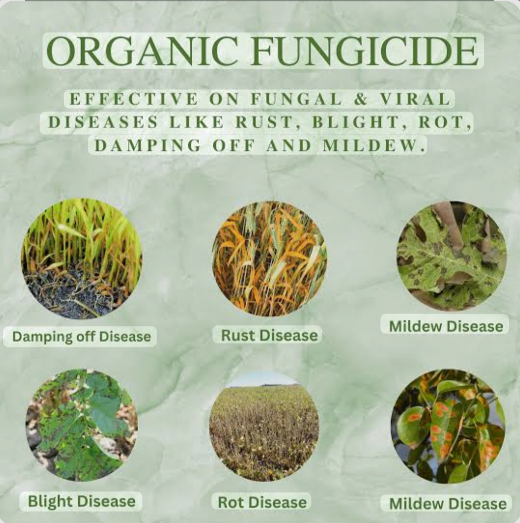 ORGANIC FUNGICIDE 