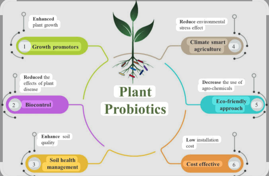 NANO BASED PLANT GROWTH PRAMOTER 